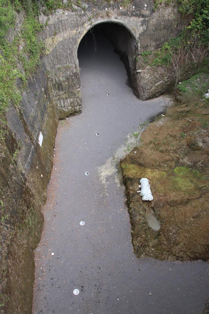 Herculaneum, May 2024. Looking west from access bridge. Photo courtesy of Klaus Heese.